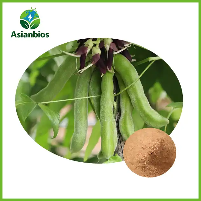 Mucuna Pruriens Extract Powder Mucuna Pruriens Extract Powder